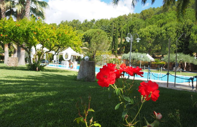 Agriturismo il Drago - Foto 20