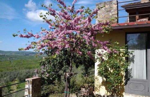 Agriturismo Fattoio alle Ripe - Foto 9