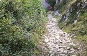 Apto. de Montaña La Campa en Felechosa (Aller) - Foto 26