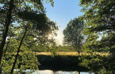 Wagtail Lodge - Foto 12