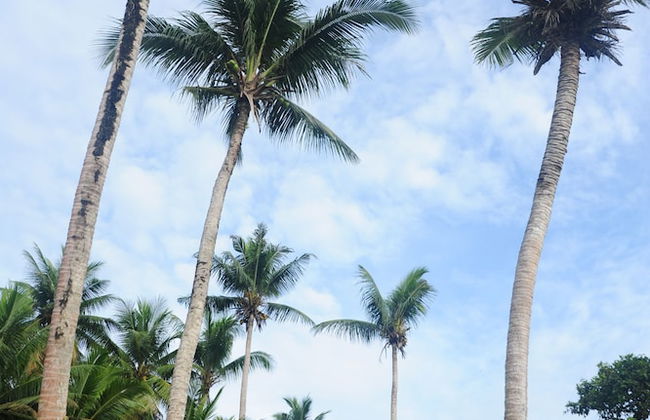 shell villa apartel resort - Foto 28