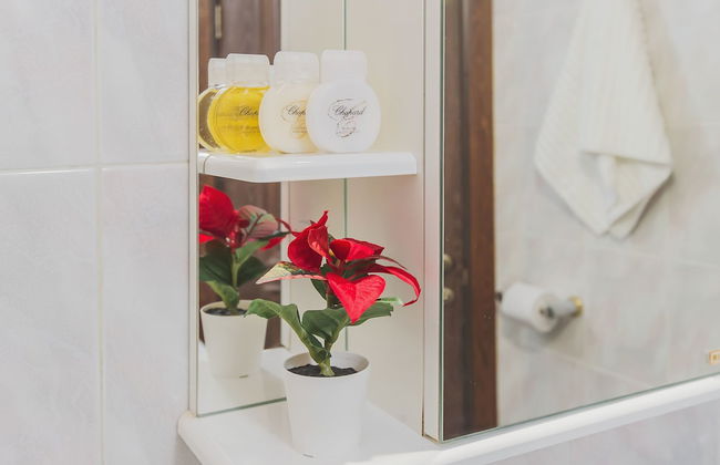 GM Apartment Nikolaeva 1 - Foto 66