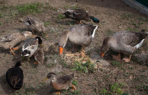 Surf Beach_Santa Barbara Secret Gardens - Photo 25