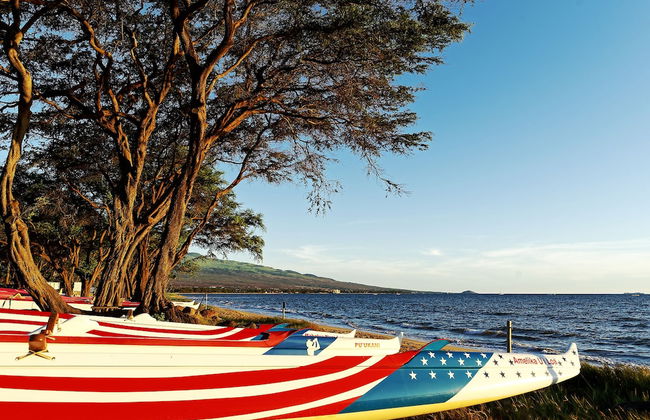 Hono Kai A10 - Foto 12