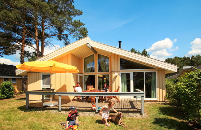 Seeschwalbe - Foto 1