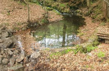 Domki Brenna Leśnica - Foto 32