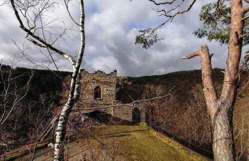 Bungalow Schwarzatalblick in Bad Blankenburg Ortsteil Böhlscheiben - Foto 63