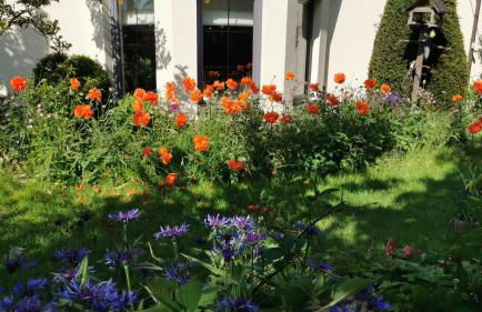 Gartenwohnung Paulsdorf - Foto 8