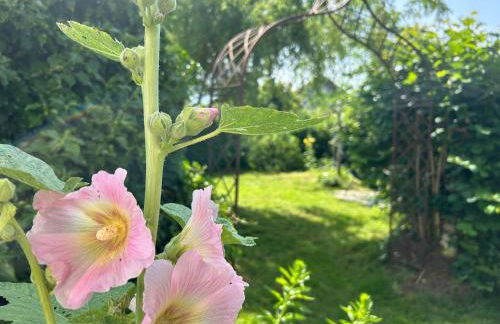 Wohnen & Bergblick - Foto 25