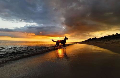Ferienhaus Diana mit Sauna und Whirlpool Polnische Ostsee - Photo 80