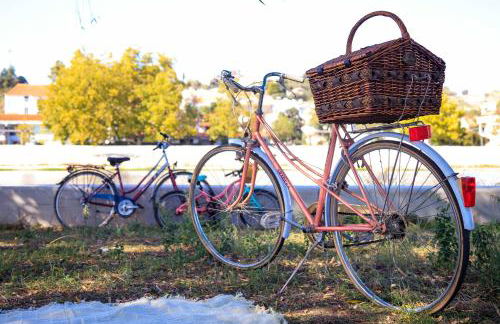 Entire Apartment - A Casa Do Baloico - Cozy Design Apartment in Coruche - Foto 46