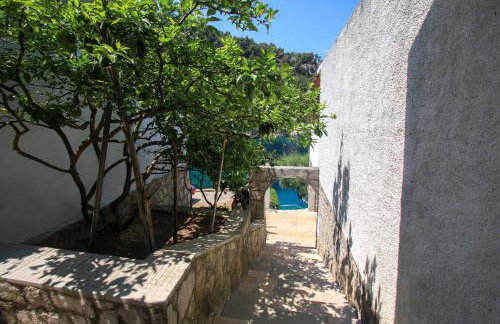 Robinson Srdelica - Foto 9