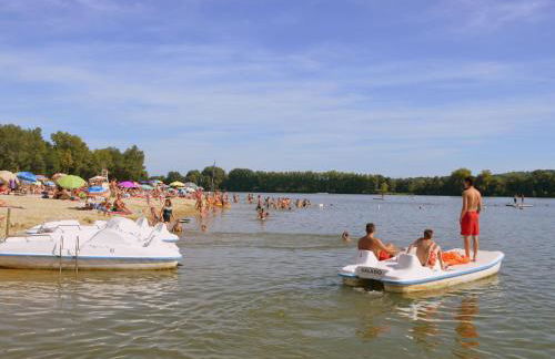 Luxury Villa in France with Pool - Foto 24