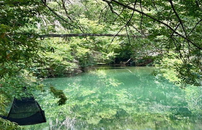 Villa in Vidauban With Pool & Vineyards Nearby - Foto 28