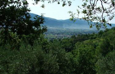 Casale degli ulivi - Foto 33