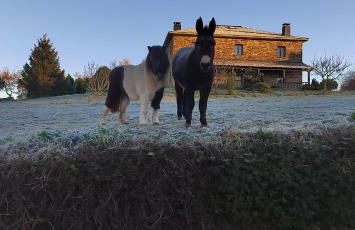 Apartamentos rurales Casa Do Cabo - Foto 76