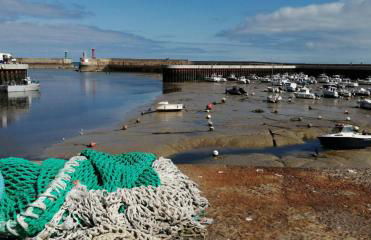 L'Escale Portaise - Photo 46