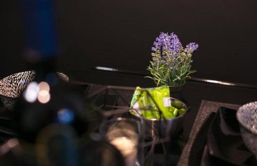 Marquise luxury design apartments | Zagreb best apartments - Foto 44