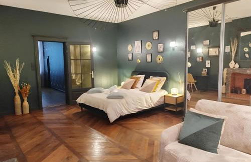 Nancy Vieille Ville Stanislas - Foto 52