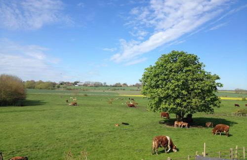 Bainvalley Cottages, Beautiful North Cottage - Foto 13