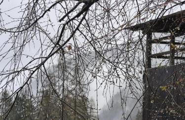 Casa Roberta - Foto 11