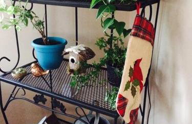 The Bird House near Fall Creek Falls State Park - Foto 35