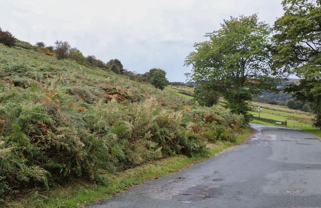 Foxholes Farm - Foto 52