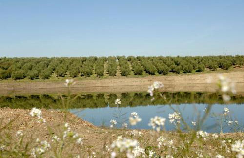 Colonna Country Home - Foto 5