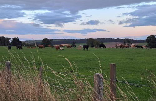 Little Slioch Cottage- A Break From City Life - Foto 15