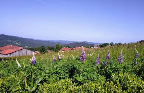 Winterwohnung Almberg - Foto 38