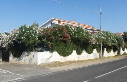 Casa degli Oleandri - Foto 17