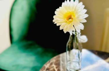 Apartment Duisburg Hbf Zentrum Business Messe Düsseldorf - Photo 72