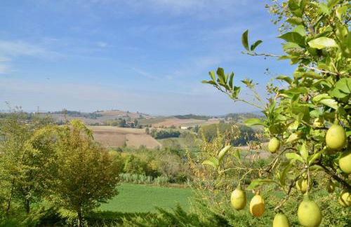 Villa Patrizia - Foto 43