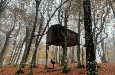 Mamali Guesthouse - Photo 15