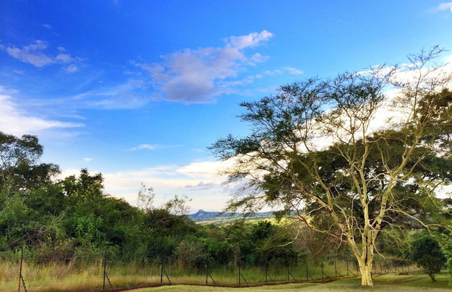 Near2Numbi - Foto 62