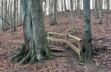 Villa No 8 Stilvolles 2 Personen Apartment mit separatem Eingang mit direkter Zuganbindung - Foto 46