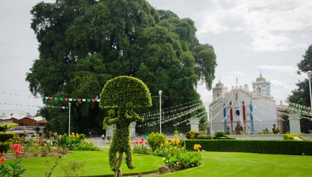 Santa María del Tule