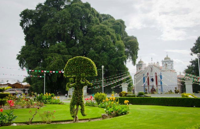 Santa María del Tule Bike Tour - Photo 3