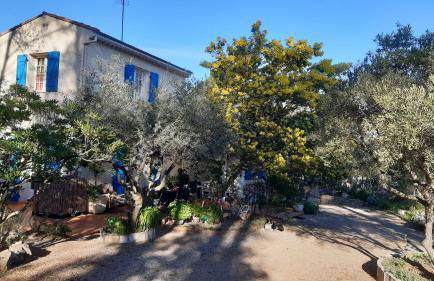 La Souleiado - Foto 5