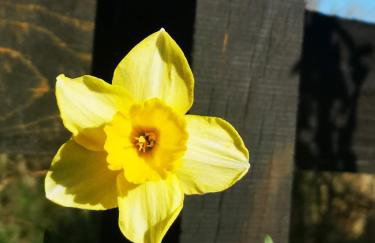 Maison Trichard - Photo 63