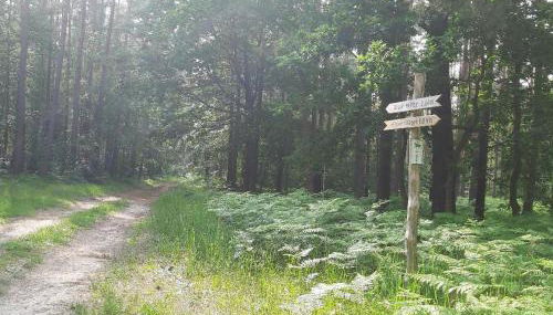 Wiesenblick - Foto 5