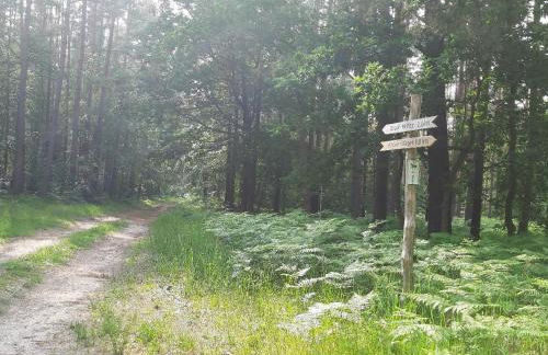 Wiesenblick - Foto 5