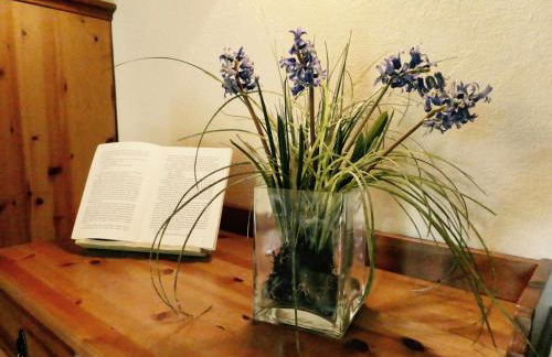 El Bosqueró de La Garrotxa - Foto 23