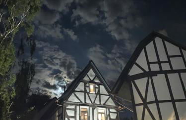 Geibelhof - Apartments in mediterraner Hofreite nahe Frankfurt am Main - Photo 99