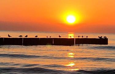 PINEA BALTIC - Double Sea View - Apartment z widokiem na morze - Photo 47