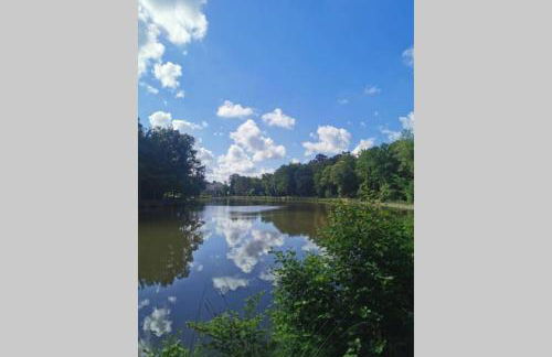 Gîte Le Balcon Flaubert - Foto 23