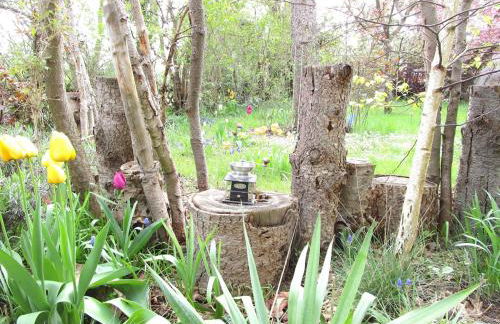 Moderne große Wohnung in herrlichem Naturgrundstück - Foto 32