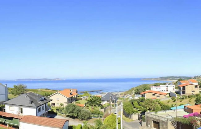 Suitel Capricho de Bascuas - Photo 12