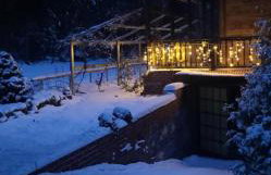 Leśny Czar - Foto 9