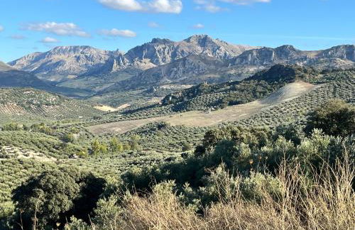 Cortijo La Pedriza - Foto 51